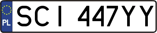 SCI447YY