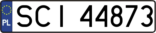 SCI44873