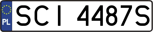 SCI4487S