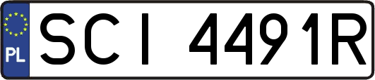 SCI4491R