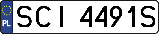 SCI4491S