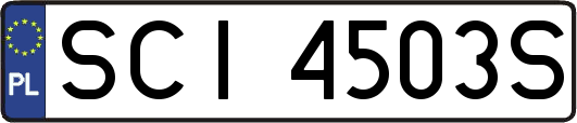SCI4503S