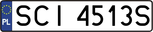 SCI4513S