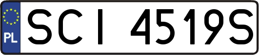 SCI4519S
