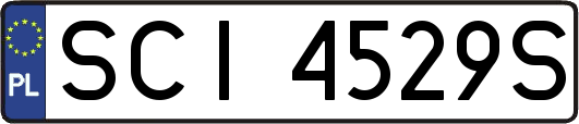 SCI4529S