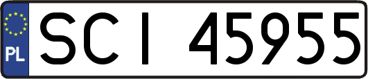 SCI45955