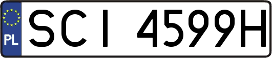 SCI4599H