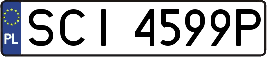 SCI4599P