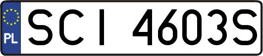 SCI4603S