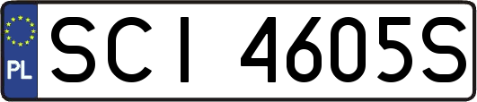 SCI4605S
