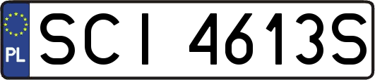 SCI4613S