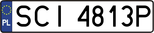 SCI4813P