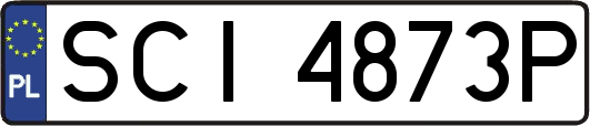 SCI4873P