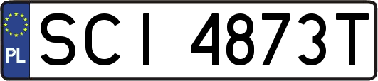 SCI4873T