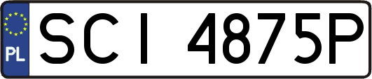 SCI4875P