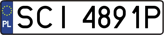 SCI4891P