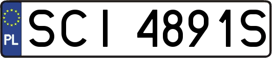 SCI4891S