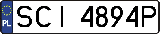 SCI4894P