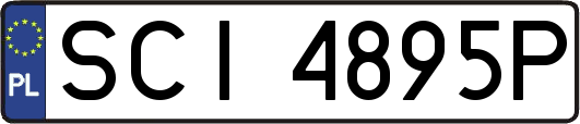 SCI4895P