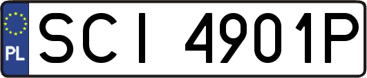SCI4901P