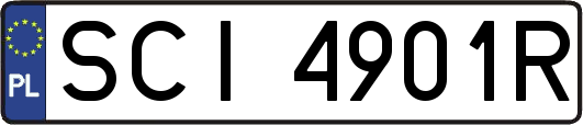 SCI4901R