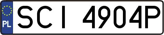 SCI4904P