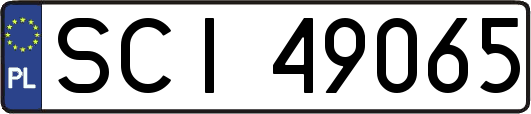 SCI49065