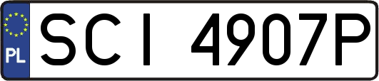 SCI4907P