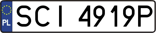 SCI4919P