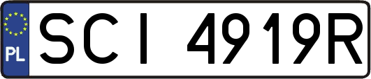 SCI4919R