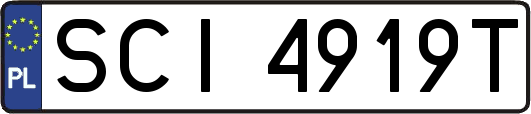 SCI4919T