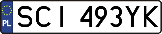 SCI493YK