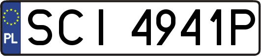 SCI4941P