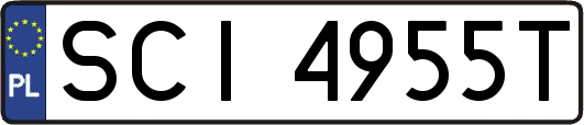 SCI4955T