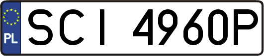 SCI4960P