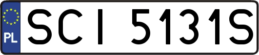SCI5131S