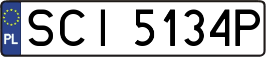 SCI5134P