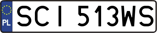 SCI513WS