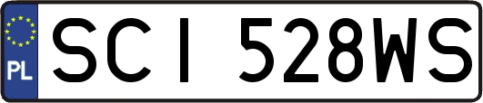 SCI528WS