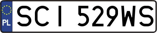 SCI529WS