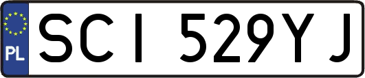 SCI529YJ