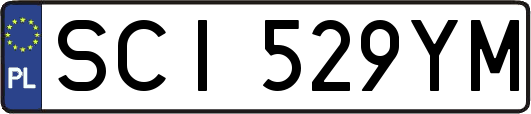 SCI529YM