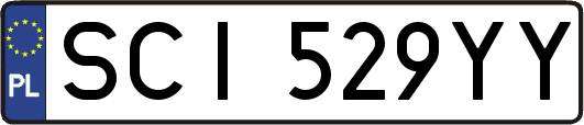SCI529YY