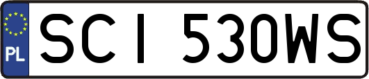 SCI530WS