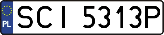 SCI5313P