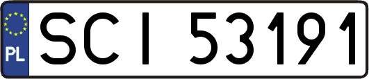 SCI53191