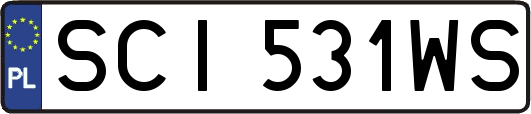 SCI531WS