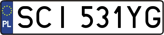 SCI531YG