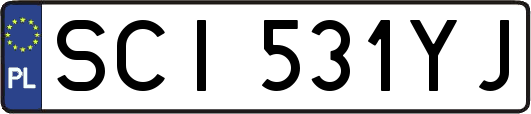 SCI531YJ