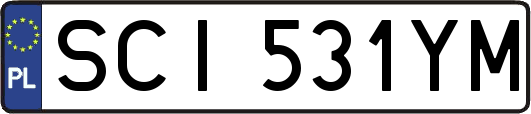 SCI531YM
